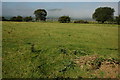 Farmland near Gelli-crugiau