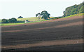 Evening shadows over ploughed field
