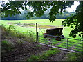 Pond in field with gate and farm machinery