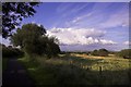 Footpath alongside Afon Lliw