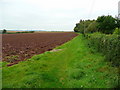 Footpath west from Bowers Lane, Peterstow