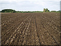 Field after Disk Harrowing