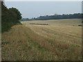 Fields at High Lane