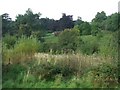 Countryside at Gall End Lane