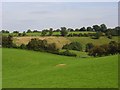 Pastures, Lower Woodend