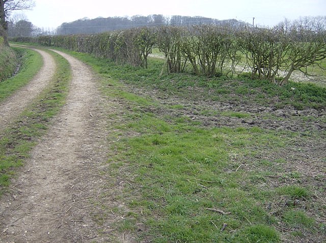 Footpath at Old Grove