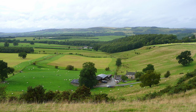 Handley Bottom Farm