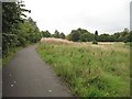 Unused land near Bellahouston Academy