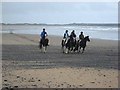 G6551 : Horses on Back Strand by Oliver Dixon