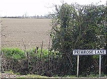 TM4188 : Primrose Lane by Graham Horn