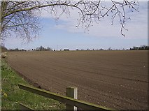 TM4188 : Field at Homestead Farm by Graham Horn