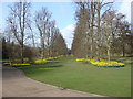 Lime Avenue, Nowton Park