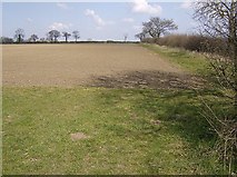 TM4388 : Field at Ellough Moor by Graham Horn