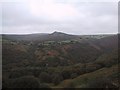 Wooded Valley of the River Dart