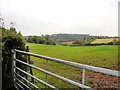 Norley - view of Delamere Forest from near Wickentree Farm