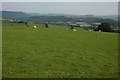 SN7838 : Farmland viewed from near Pen Y Gaer by Philip Halling