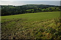 Farmland near Maes-y-gwandde