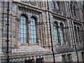 Detail of the outside of the Natural History Museum