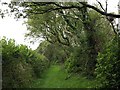 Track near Hartland