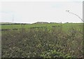 SH4082 : Mynydd Mwyn Farm, Llannerch-y-medd by Eric Jones