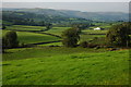 Farmland near Allt Rhiw