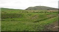 Grazing land, Steelend