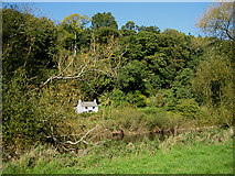 SO5616 : Riverside cottage in Elliot's Wood by Pauline E