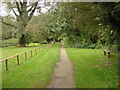 Footpath, Clare Country Park