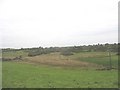 Marshland east of the B 5109 at Llandrygarn