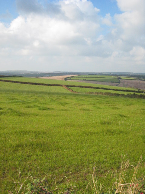 Pasture at Trevilgan Farm