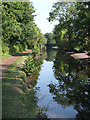 Stourbridge Canal near Wordesley Junction