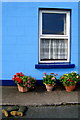 G8480 : Blue wall and flowers: Frosses by louise price