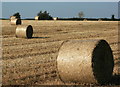 2008 : Harvested field near Upper Wraxall