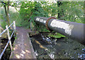 Footbridge and Pipe Bridge