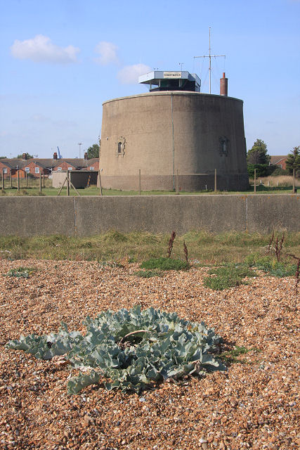 Martello Tower P