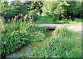 Bridge, Abbotts Barton