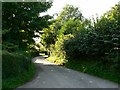 Road into Littledown, Hampshire