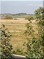 Fields towards Low Laithes