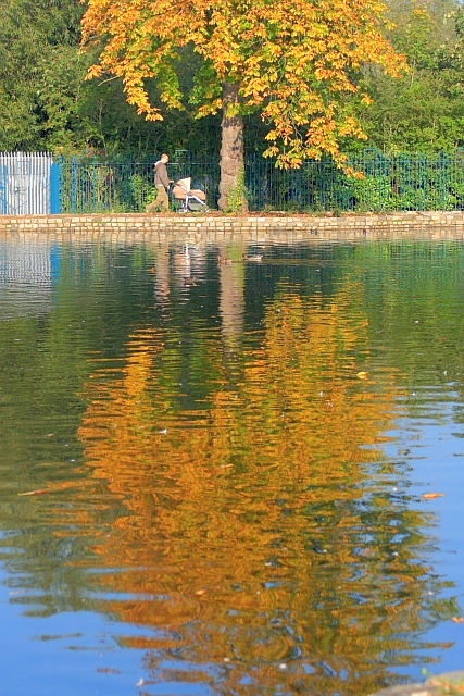 The Lake, Ropner Park