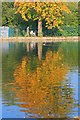 The Lake, Ropner Park