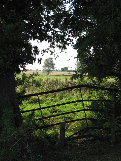 A very bent field gate