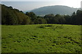 Farmland above the Twyi valley