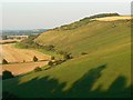 Rivar Down, east of Marten, Wiltshire