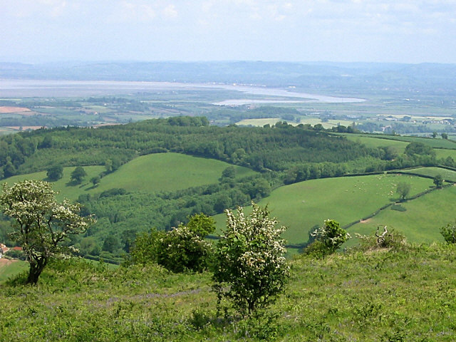 Cothelstone Hill