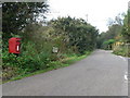 Uplyme: postbox № DT7 130, Woodhouse Hill