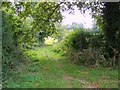 Footpath, Farley