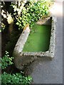 Verdant trough