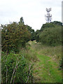 Old Road on Wilford Hill