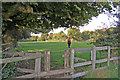 Stile, Damerham, Hampshire