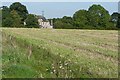 South of Vernhams Dean church